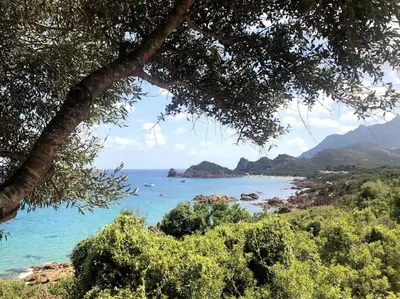 Paesaggio naturale nelle vicinanze dell'appartamento