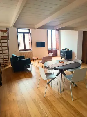 TV o dispositivi per l'intrattenimento presso Trincu Apartment