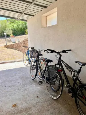 Attività di ciclismo presso l'appartamento o nelle vicinanze