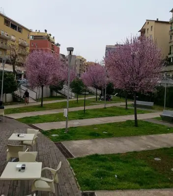 Giardino di La Casetta d'Oro - Cagliari