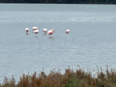 Paesaggio naturale nelle vicinanze del bed & breakfast