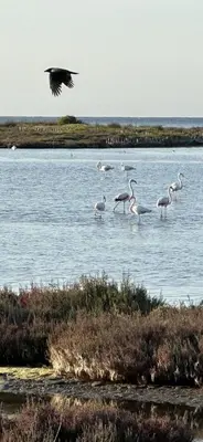 Paesaggio naturale nelle vicinanze del bed & breakfast