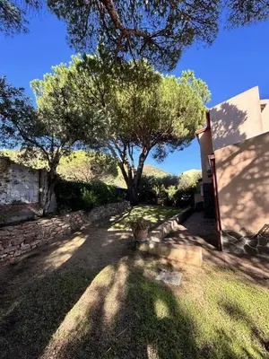 Giardino di Villino Artù - Villino Artu'