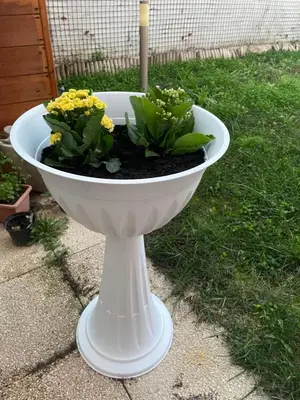 Giardino di Casa Cleotti