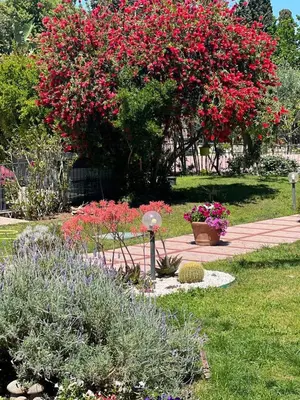 Giardino di Appartamento Mare di Furio