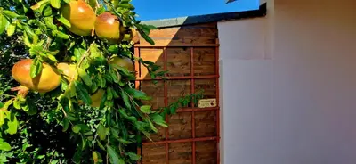 Planimetria di Casa vacanza Mamaioa
