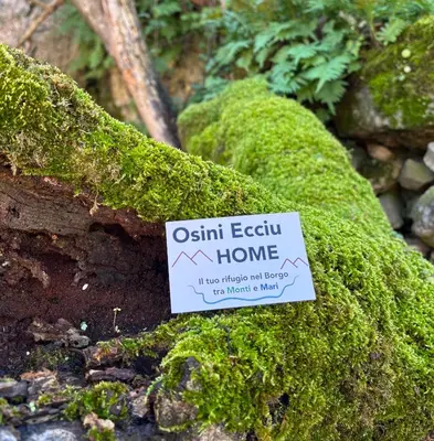 Paesaggio naturale nelle vicinanze del bed & breakfast