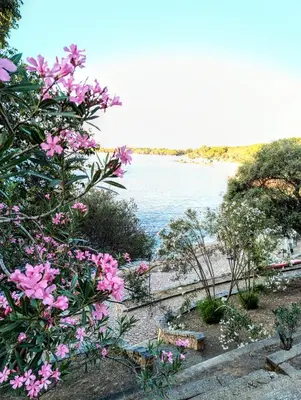 Paesaggio naturale nelle vicinanze dell'appartamento