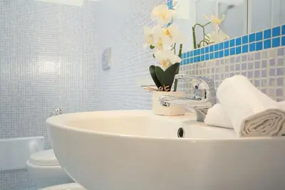 Bagno di The Blue Anchor
