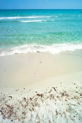 Paesaggio naturale nelle vicinanze dell'appartamento