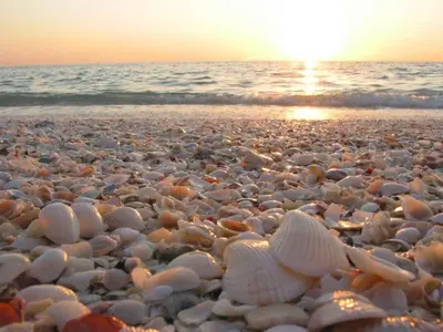 Paesaggio naturale nelle vicinanze dell'appartamento