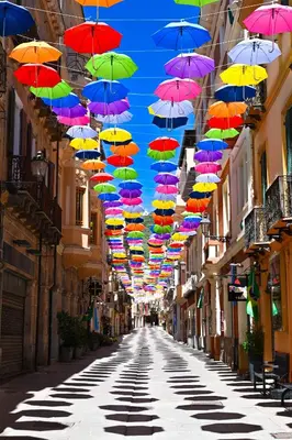 Il quartiere o una zona nella vicinanze dell'appartamento
