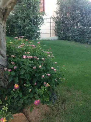 Giardino di Villino la Lantana con Wi-Fi