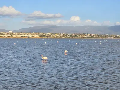 Paesaggio naturale nelle vicinanze dell'appartamento