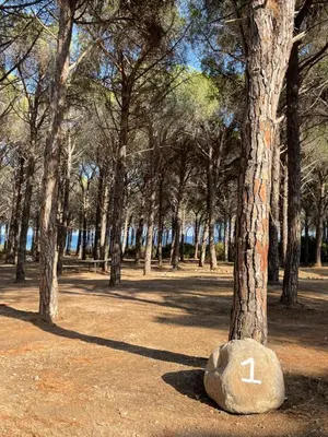 Paesaggio naturale nelle vicinanze del campeggio
