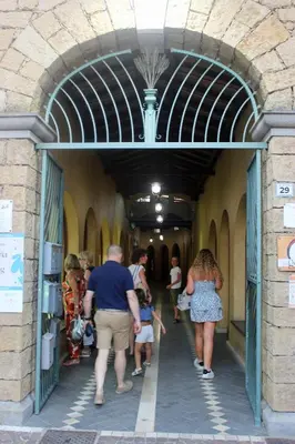 Ospiti di Domu Kokoro