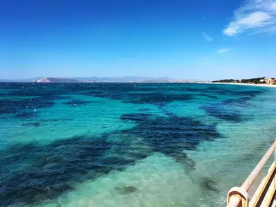 Planimetria di Villa Rodi