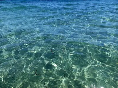 Paesaggio naturale nelle vicinanze della casa vacanze