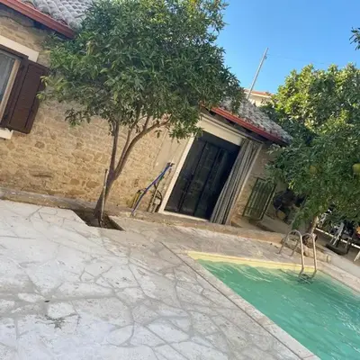 Bouganville