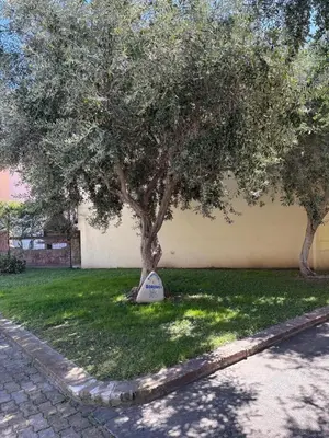 Giardino di Casa Luca ai Borghi di Villasimius