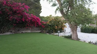 Giardino di Casa vacanze Tramontana