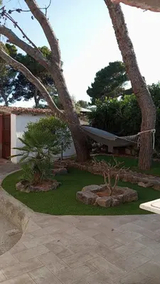 Giardino di Casa vacanze Tramontana