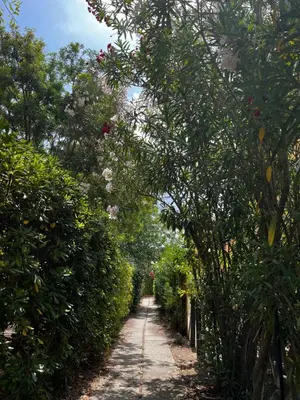 Giardino di Attico aMare Costa Rei - 100m dalla spiaggia