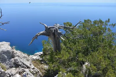 Paesaggio naturale nelle vicinanze del bed & breakfast