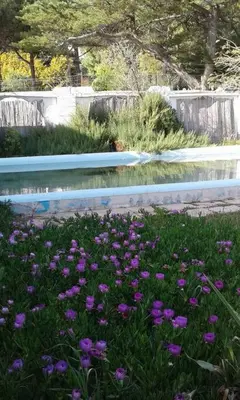 Giardino di Rosi Sweet Home