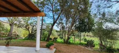 Giardino di La Mimosa Bianca