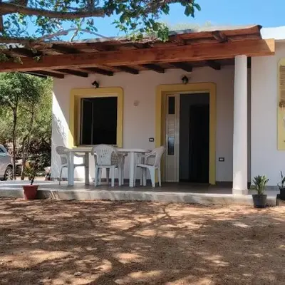 La Mimosa Bianca