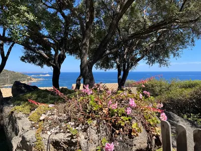 Paesaggio naturale nelle vicinanze della villa