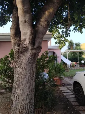 Giardino di Residenza i Fenicotteri