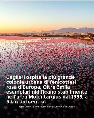 Paesaggio naturale nelle vicinanze della stanza in casa privata