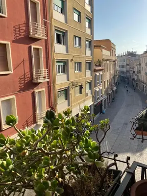 Planimetria di Cozy studio in the heart of Cagliari