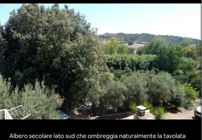 Paesaggio naturale nelle vicinanze dell'appartamento