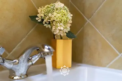 Bagno di Domus Ubaldina