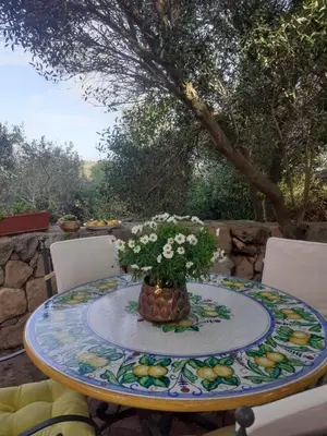 Giardino di B&B Domus Oriens - monolocale indipendente in villa