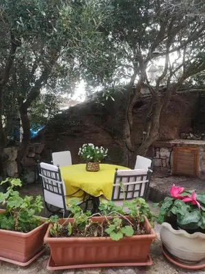 Giardino di B&B Domus Oriens - monolocale indipendente in villa