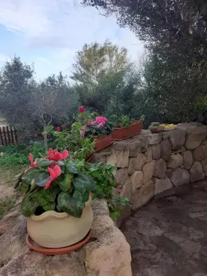 Giardino di B&B Domus Oriens - monolocale indipendente in villa