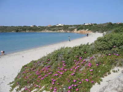 Paesaggio naturale nelle vicinanze dell'affittacamere