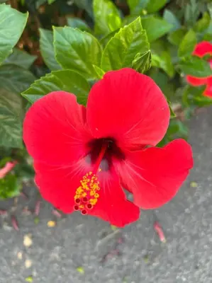 Giardino di Un luogo sospeso nel tempo