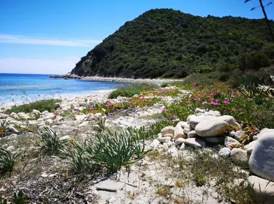 Planimetria di Cala Pira Sunset Villa on the beach
