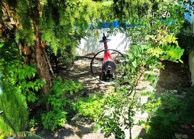 Ospiti di -Giardino- Vakantiehuis tussen de olijvenbomen