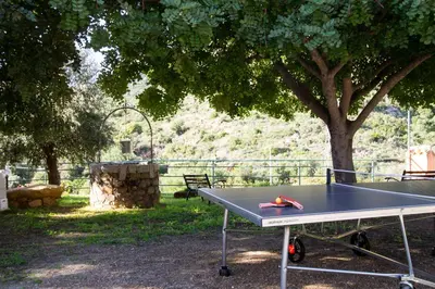 Attrezzature per ping pong presso Monolocale Cartuceddu 6b o nelle vicinanze