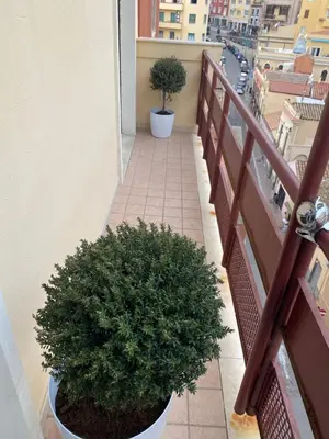 Planimetria di Myrtus Guest House Piazza Gramsci