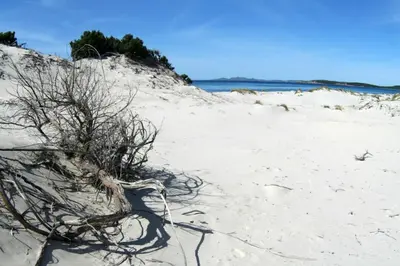 Paesaggio naturale nelle vicinanze del bed & breakfast