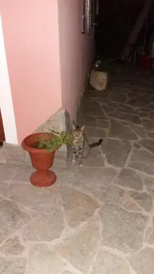 Planimetria di La Contea