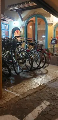 Attività di ciclismo presso il bed & breakfast o nelle vicinanze