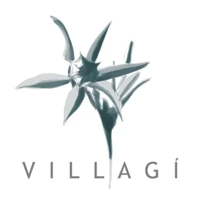 Certificato, attestato, insegna o altro documento esposto da VillaGì